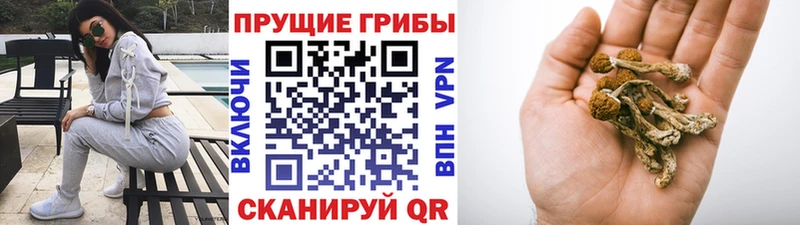 Псилоцибиновые грибы мицелий Ува