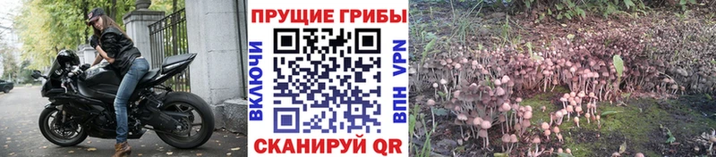 Псилоцибиновые грибы мицелий  Ува 